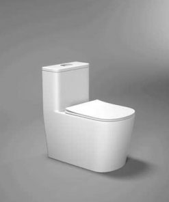 Bồn cầu liền khối Bosstani BT64565