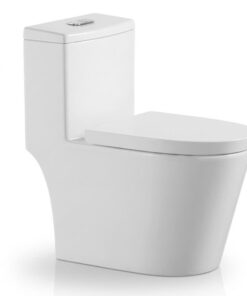 Bồn cầu 1 khối Bosstani BT-8801